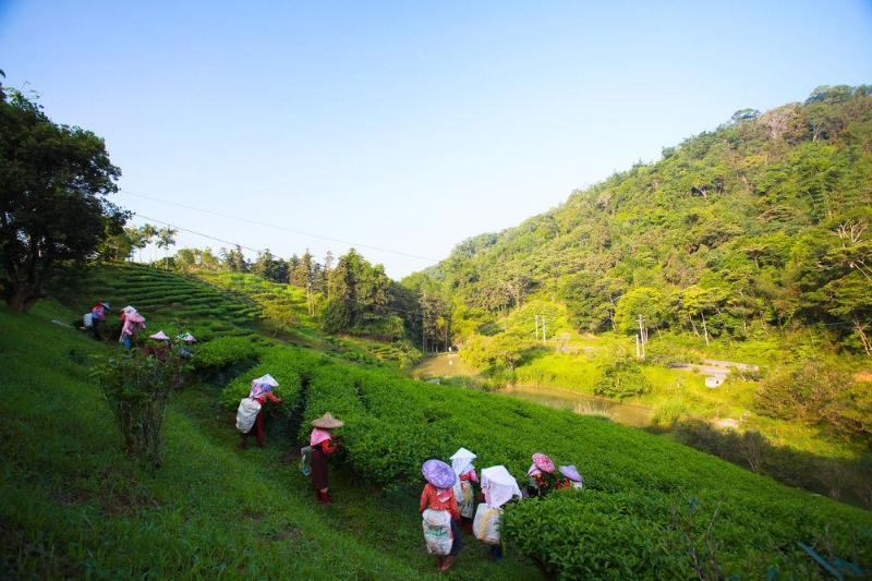 Fuli Hot Spring Resort Yuchi Ngoại thất bức ảnh